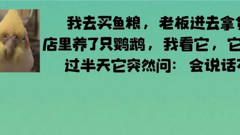 软糖与硬糖，品质哪家强？揭秘挑选秘诀**