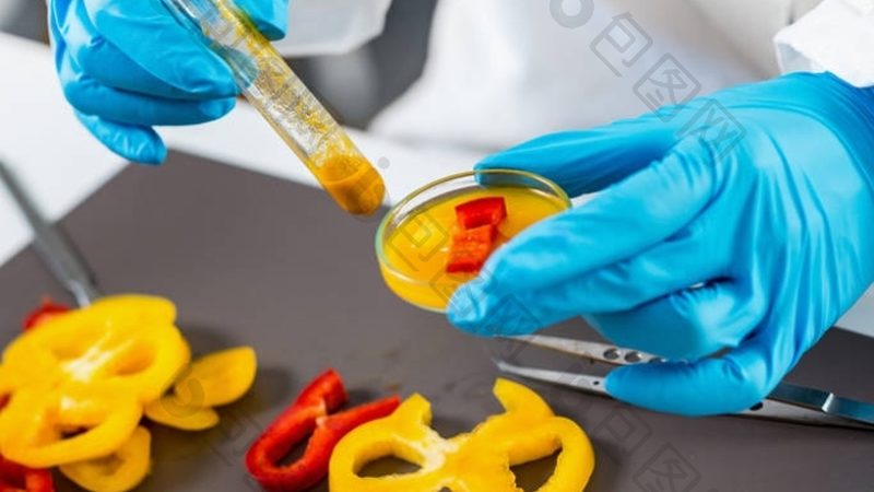 冷冻食品批发货源网站